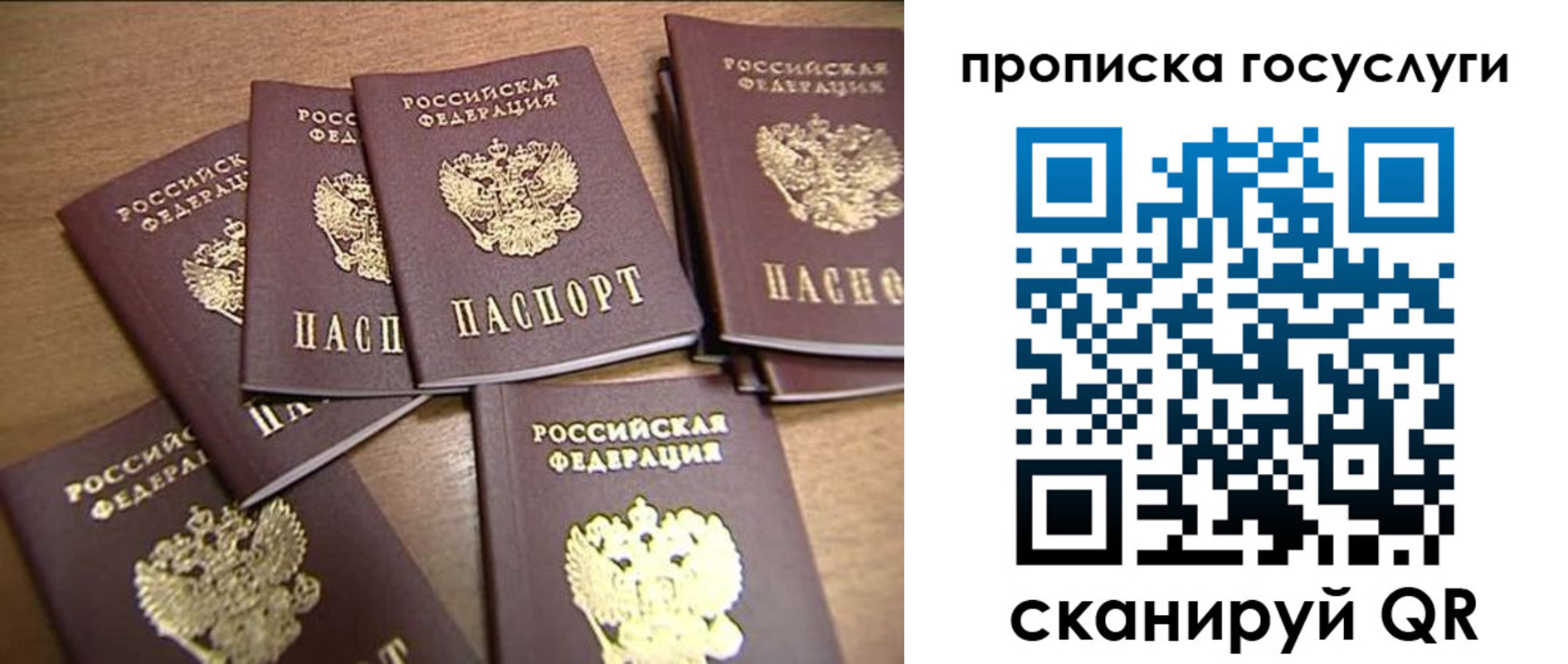 прописка ребенка в Пролетарске